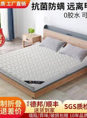 床环保椰棕垫垫硬棕34102经济型1.51.8米双人席梦思乳胶榈垫折叠