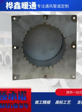 不锈钢法兰管带盖板环废检气管道56645测保口采样口风测定堵量头