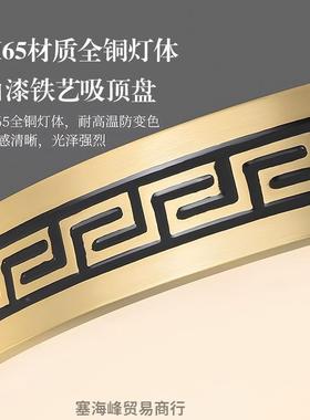 全铜别大门L墅ED吸灯防虫防蚊防潮门厅灯入户顶户82547外大口门阳