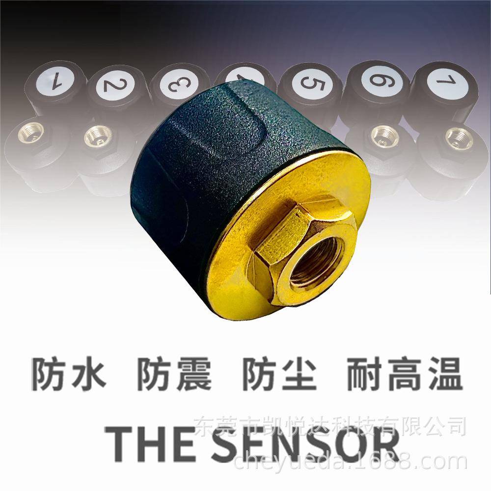 1置6轮24423外胎压测货车检通用营运车矿车胎监测压器TPMS