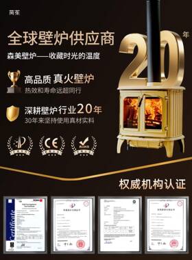 se家m628e炉iZRT1真火壁欧式铸铁燃木柴取暖炉农村用别墅民宿装n