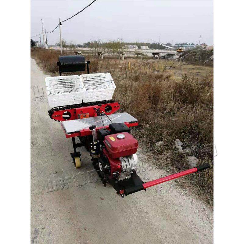 乘式大葱移苗栽机农用小葱种植机型小型移动坐蔬菜秧苗AQX栽种机