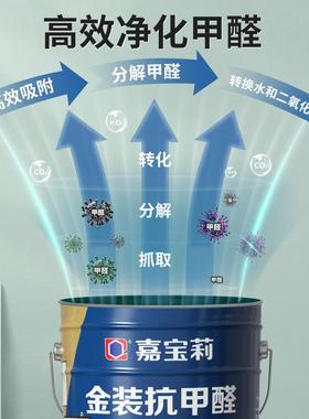 乳胶漆室内家FH-KRM42醛用墙内墙金装抗甲油漆自刷味涂料净五合一