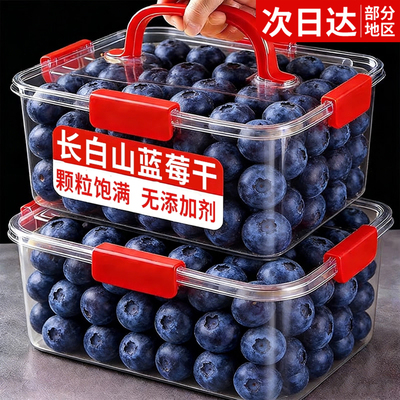 特级品质长白山蓝莓大兴安岭