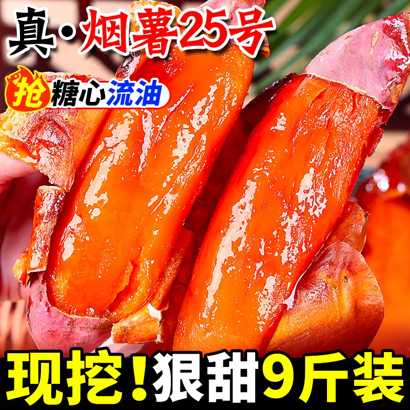 烟薯25号沙地蜜薯糖心红薯小新鲜红皮心烟台农科院烤山芋专用番薯