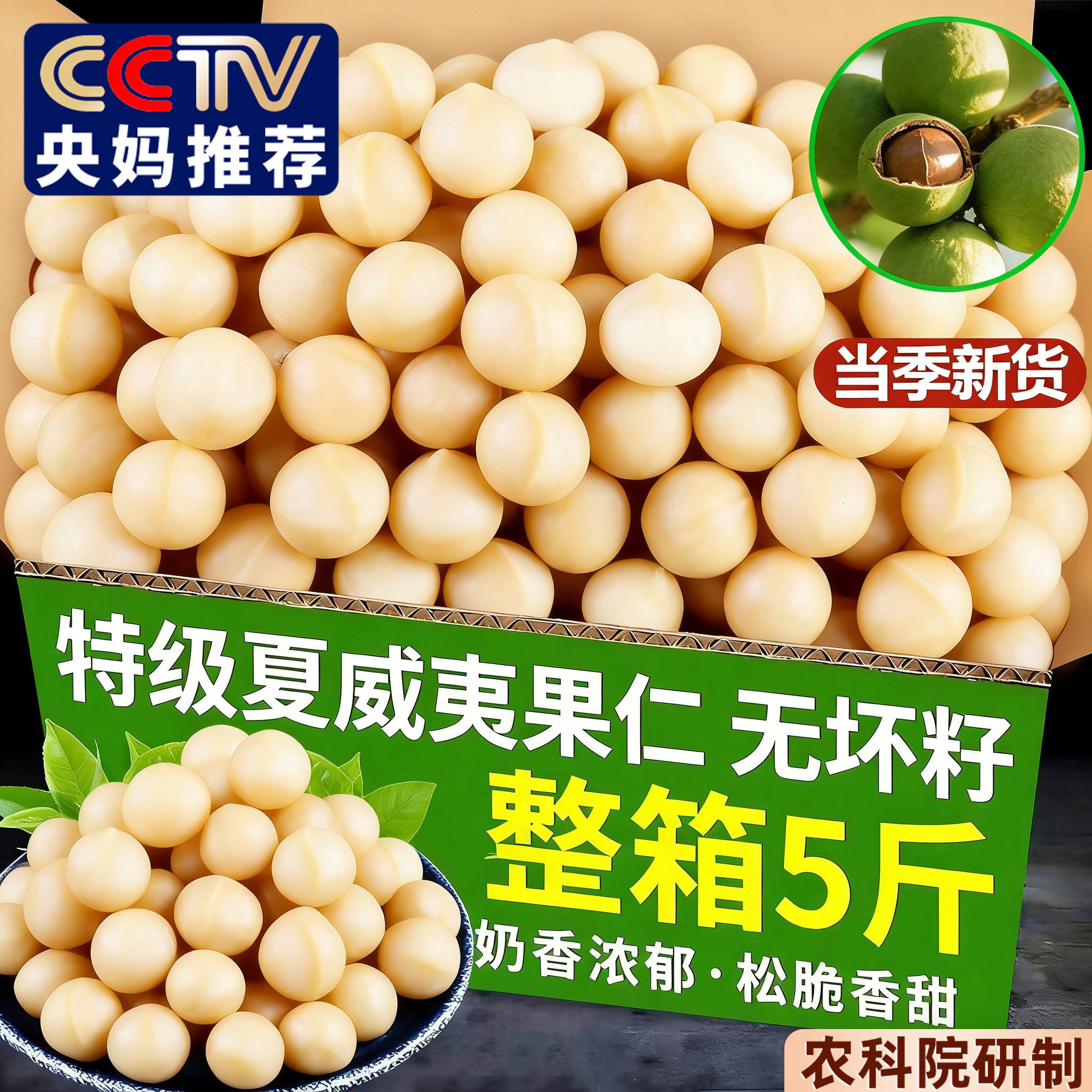 夏威夷果仁2025新货夏威夷果罐装坚果干果烘焙零食年货批发旗舰店