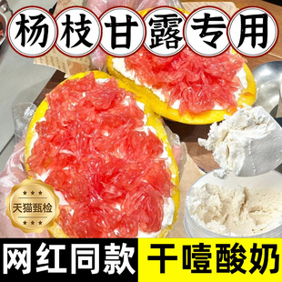 固体杨枝甘露干噎酸奶正品希腊冷萃无糖网红干嚼酸奶官方旗舰店