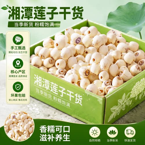 湘潭莲子干货500g特级去芯新鲜货
