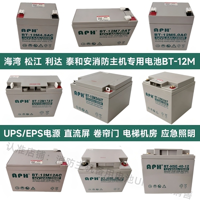 海湾GST天成泰和安消防主机报警备用电池12V24/17/38/20/12/7/5AH