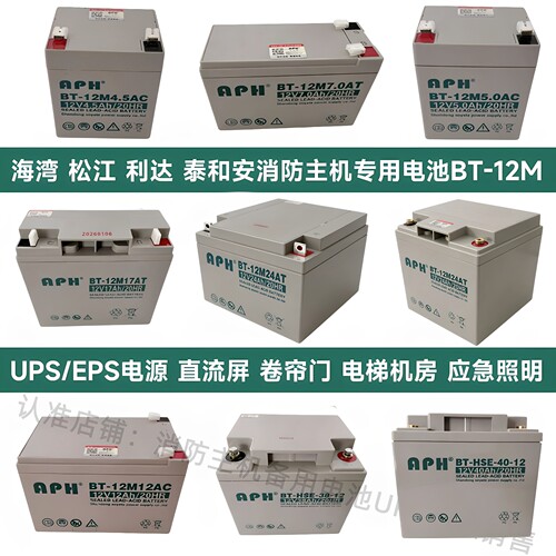 海湾GST松江利达天成泰和安消防主机EPS应急报警备用蓄电池BT-12M
