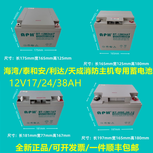 蓄电池BT-12M24AT海湾消防报警主机12V24AH17AH38AH北大青鸟UPS用