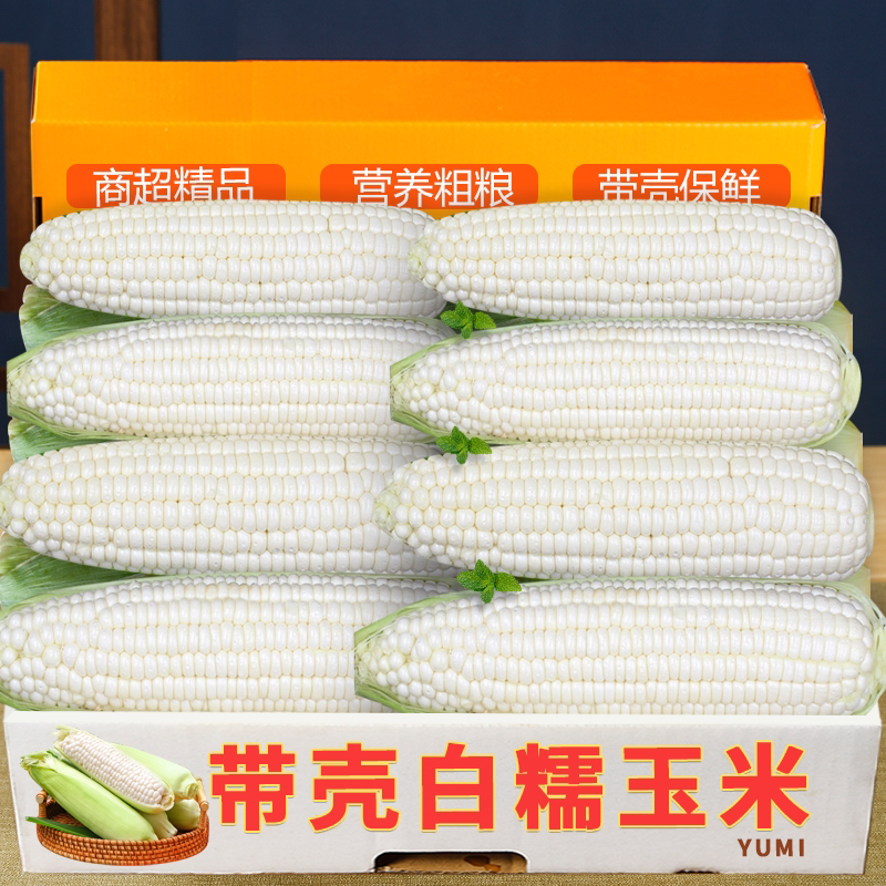 新鲜白糯玉米带壳白糯玉米农家自种现掰白玉米营养粗粮产地直发
