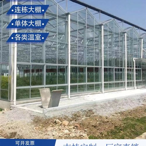 智能遮阳化玻璃大棚文络式阳光板大棚蔬菜花卉观光花房连栋棚