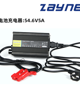 电动叉车 杭叉江淮柳工合力搬运托盘48v10ah15ah锂电池智能充电器