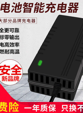 电动车锂电池充电器24V36V48V2A60V72V滑板车哈雷代驾车独轮锂电