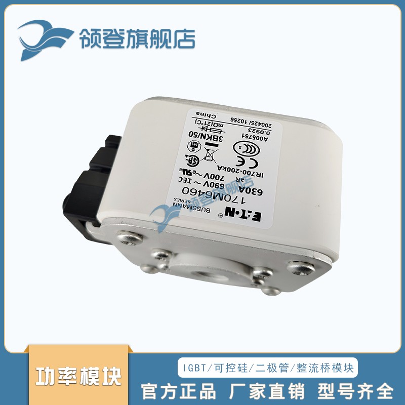 快速熔断器170M6460 6461 6462 6463 6464 6465 6467 6468 6469
