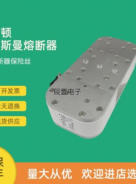 快速熔断器保险170M7138 170M7139 170M7140 170M7141