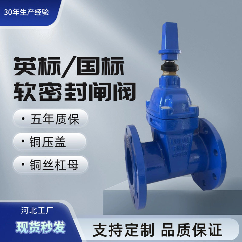 闸阀球墨铸铁闸阀DN100Z45X软密封明杆暗杆闸阀耐磨耐腐蚀