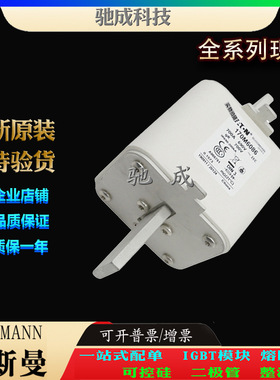 巴斯曼170M6086 170M6087 170M6094 大量现货销售批发 原装熔断器