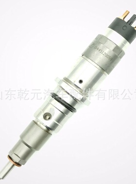 共轨喷油器总成  0445120152  120系列燃油喷油器