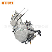 OTOM越野摩托车两冲程发动机总成250cc 隆鑫MT250 高爆发引擎