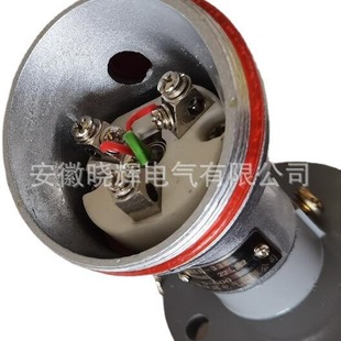 热电阻WZP 铂热电阻 330活动法兰安装