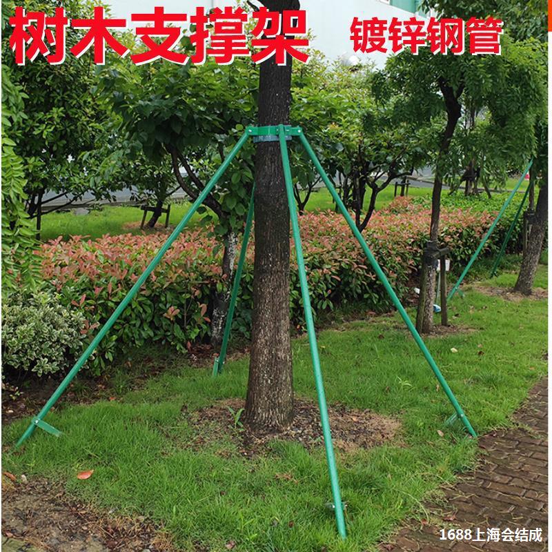 树木支撑固定器抱箍防风杆绿化镀锌钢管支撑架苗木支架乔木固定杆