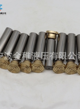 柱塞泵配件 A4VG110 缸体柱塞配油盘回程盘