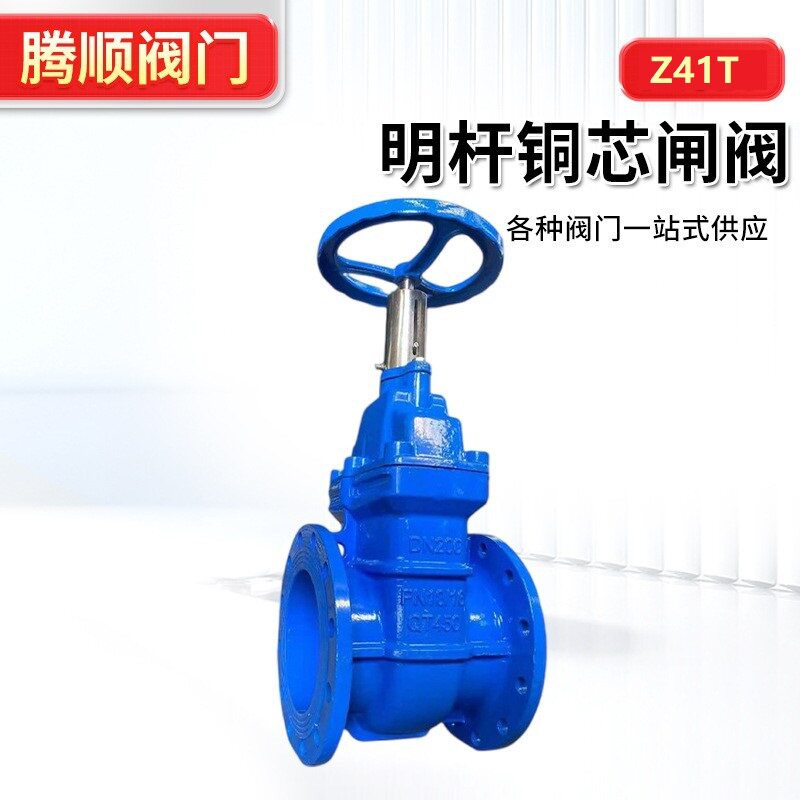 Z41T明杆铜芯闸阀球墨铸铁法兰暗杆硬密封阀门锁闭阀开关硬密封