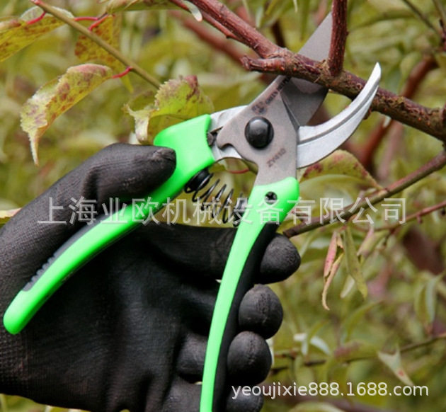 台湾助友ZY410剪枝剪刀园艺修枝剪花艺工具家用剪果树枝剪图片