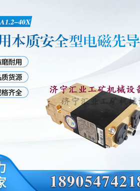 北京天玛智控 FHDA1.2/40X矿用本质安全型电磁先导阀