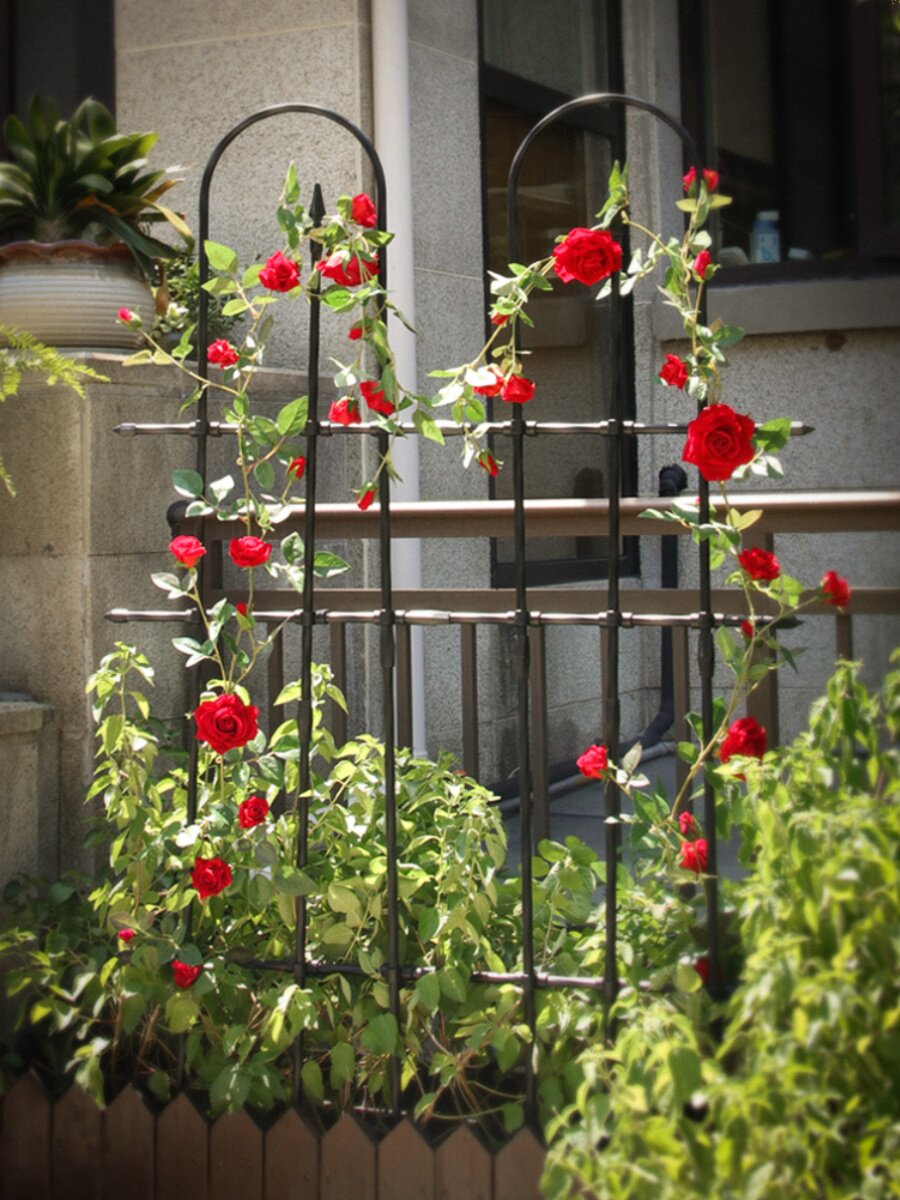 花架爬藤架围栏栅栏庭院篱笆隔断花园户外围墙室外护栏墙面装饰架