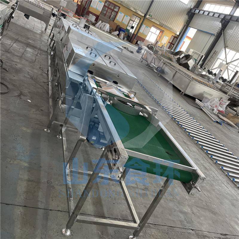 保洁蛋清洗机不锈钢全自动清洗机多功能鸡蛋鸭蛋气泡清洗机