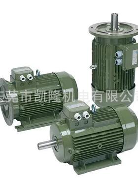 SAER电机 SAER交流电机