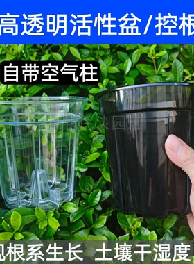 PC高透明活性盆带空气柱热植石斛多肉有侧孔控根盆塑料蝴蝶兰花盆