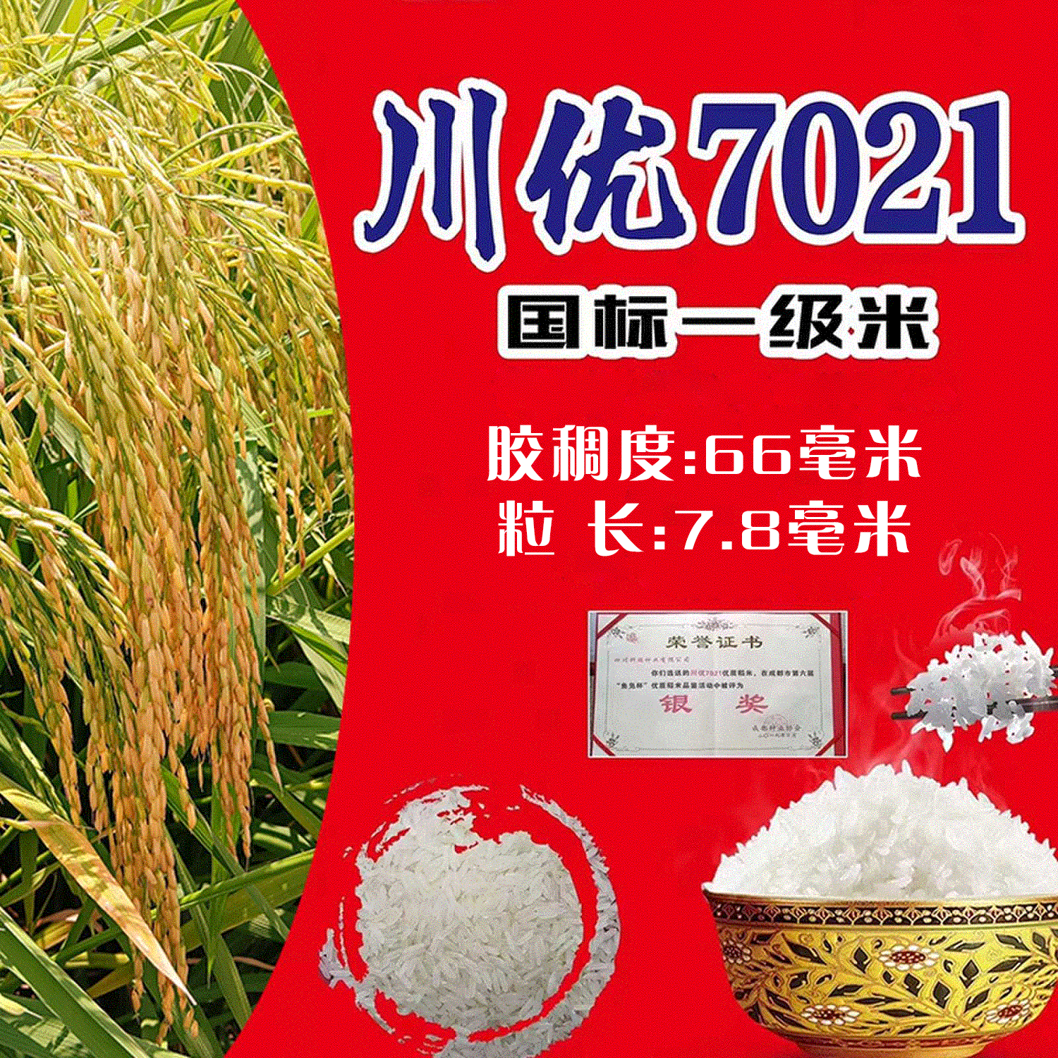 香米水稻种子川优7021有嚼劲