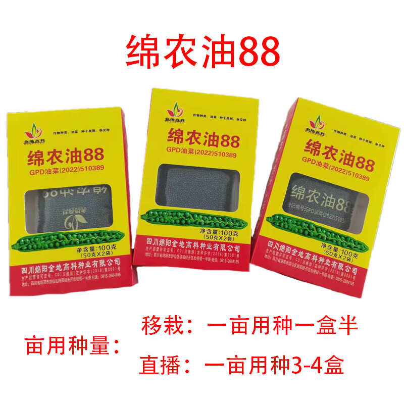 高产油菜种子绵农油88 耐寒抗裂出油率高适宜广产量高