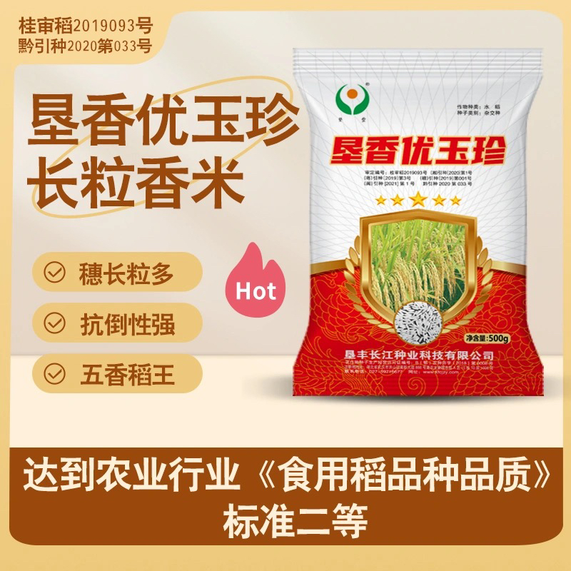 香优玉珍水稻种子口感软糯高产