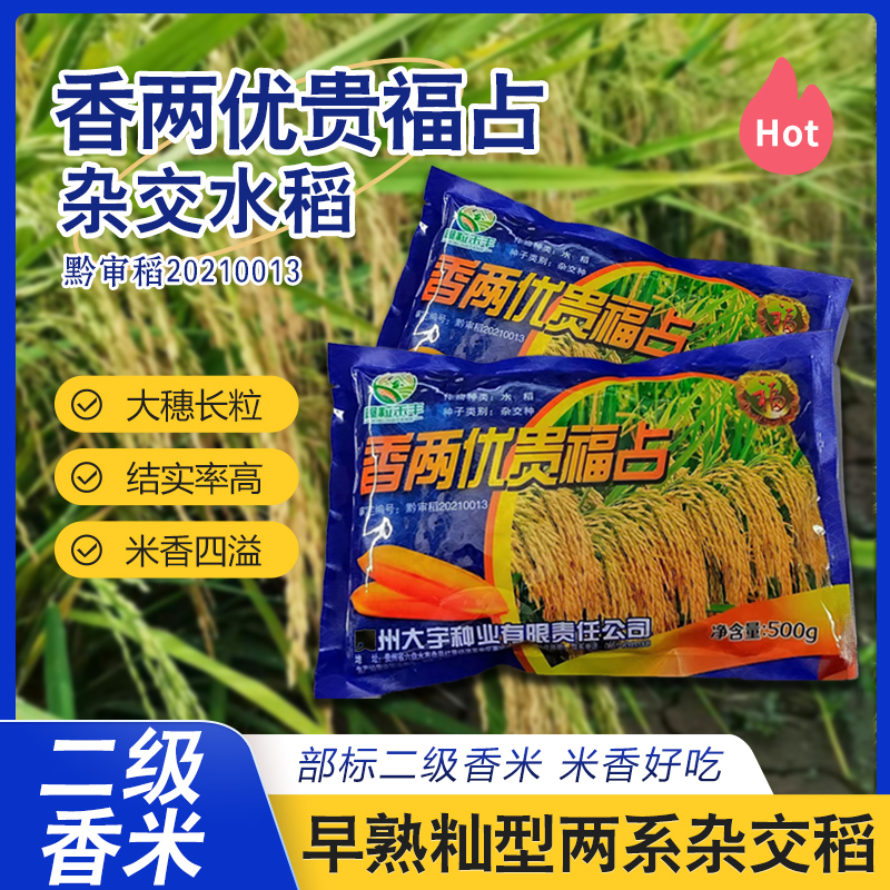 早熟籼型两系杂交稻香两优贵