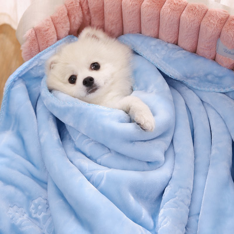 毛毯冬天保暖睡觉用冬季垫子不粘毛睡垫猫咪小毯子宠物的狗狗被子,宠物/宠物食品及用品,猫狗垫子,淘宝优惠券,粉丝福利购,淘宝优惠卷