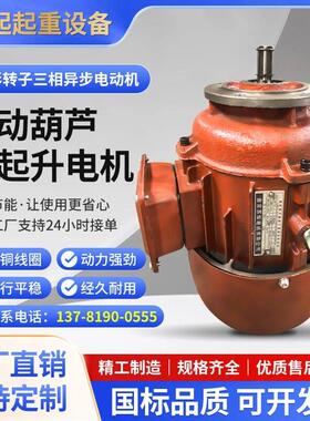 南京苏悍起重机电动葫芦跑车主起升电机ZDY/ZD/YDE锥形行车电机