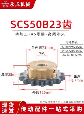 SCS高品质成型孔炼轮5分50B 23齿 10A23T外径125精车内孔键槽顶丝