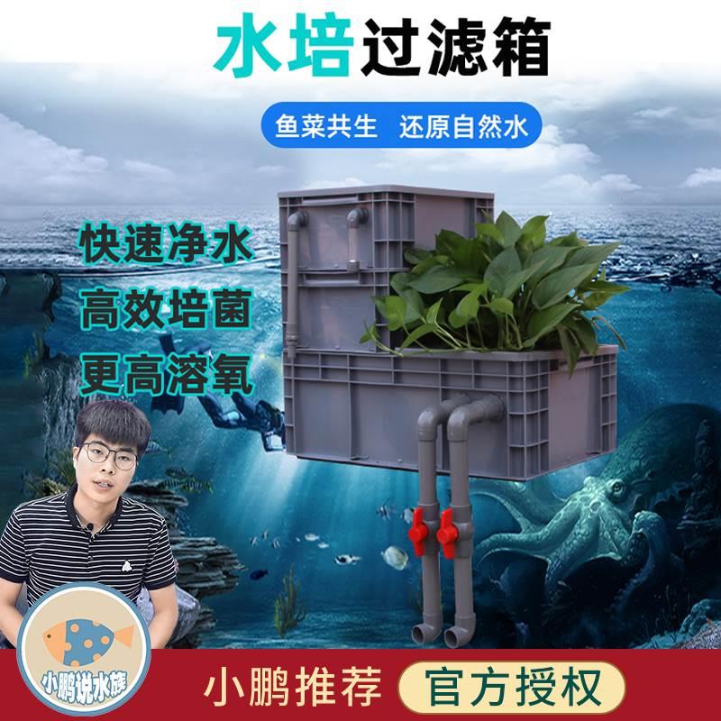 鱼缸水培周转箱鱼池生态过滤上置过滤盒锦鲤池外置水族小鹏说水族