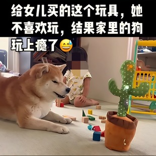 仙人掌学说话玩具妖娆花模仿人学舌会唱歌跳舞搞笑扭扭复读录音玩