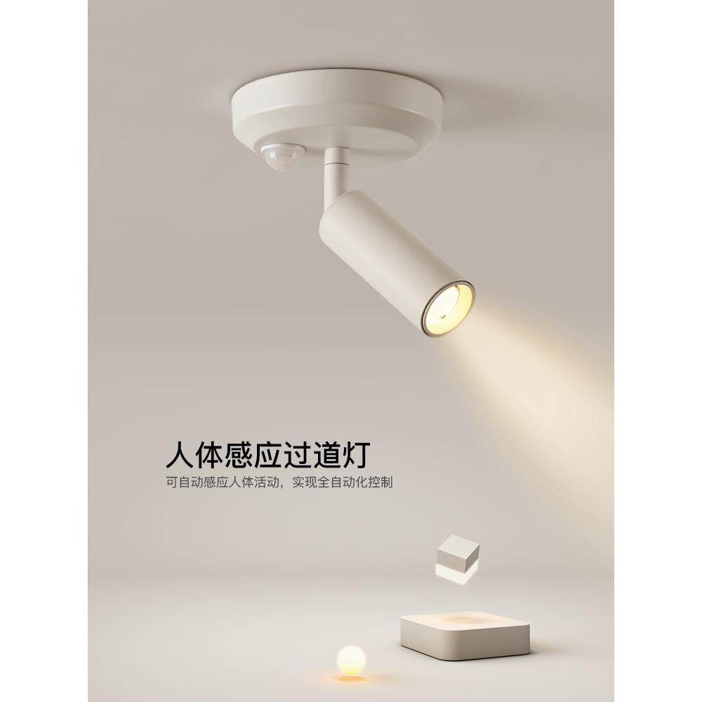人体传感器聚光灯过道走廊灯创意Led吸顶灯简单现代楼梯阳台中山