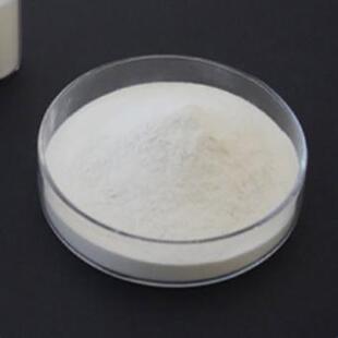 羧基化纤维素纳米纤维 CNF-C棉花纳米纤维冻干做气凝胶增强分散剂