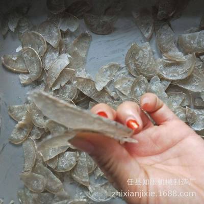 全自动草类切段机不锈钢商用多功能粉条切段机猪耳朵切丝机切片机