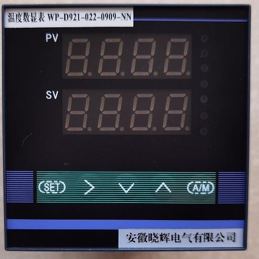 温度数显表WP-D921-022-0909-NN