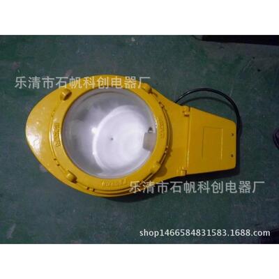 BLC8610防爆道路灯（IIC）马路灯 道路灯 BAM55LED-RY-T101