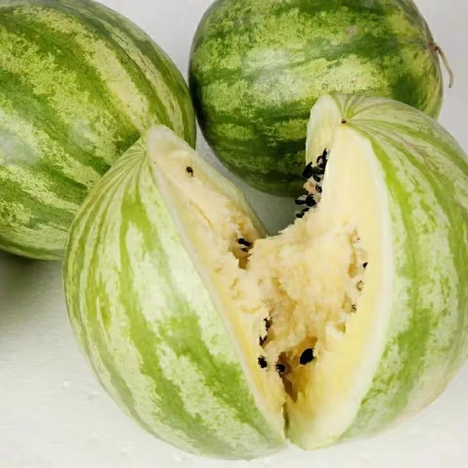 甘肃民勤戈壁滩瓜籽 特产优质籽瓜打瓜子 黑籽西瓜子可食用沙漠瓜